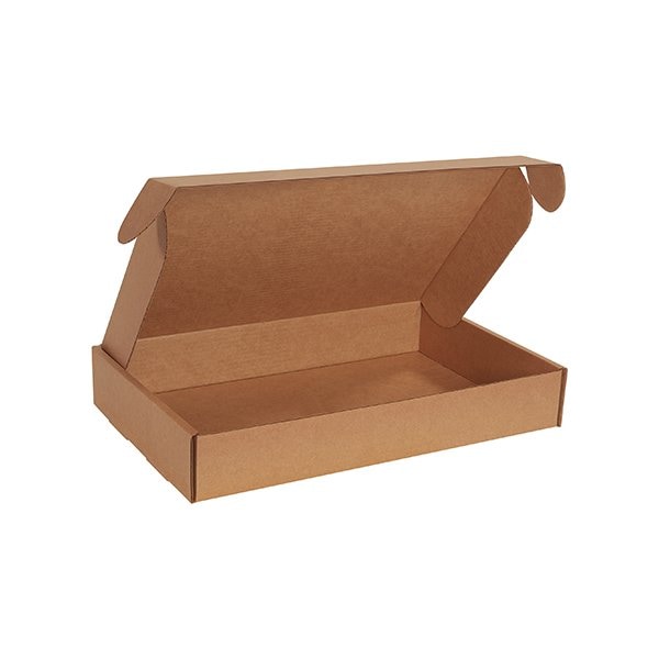 Bsc Preferred 19 x 12 x 3'' Kraft Deluxe Literature Mailer, 25PK BUY00013418 - main
